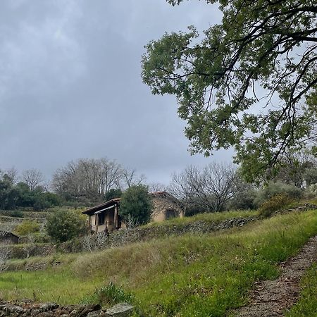 Vergel San Pedro Torremenga Buitenkant foto